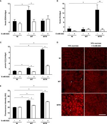 Aedes aegypti Infection With Trypanosomatid Strigomonas culicis Alters Midgut Redox Metabolism and Reduces Mosquito <mark class="highlighted">Reproductive Fitness</mark>